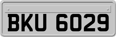 BKU6029