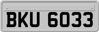 BKU6033