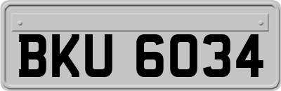 BKU6034