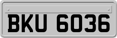 BKU6036