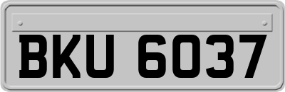 BKU6037