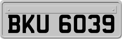 BKU6039