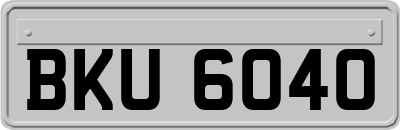 BKU6040