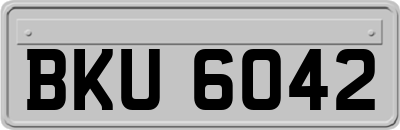 BKU6042