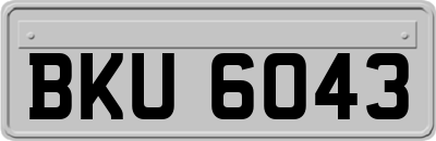 BKU6043