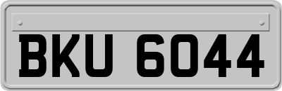 BKU6044