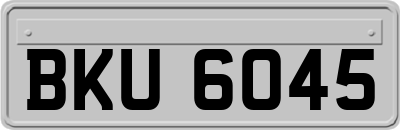 BKU6045