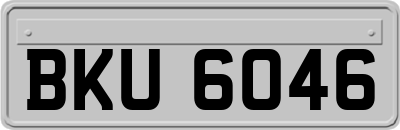 BKU6046