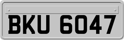 BKU6047