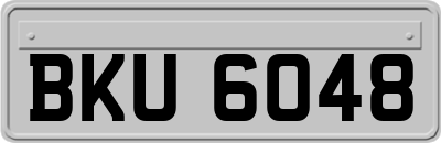 BKU6048