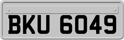 BKU6049