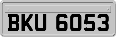 BKU6053