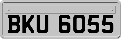 BKU6055