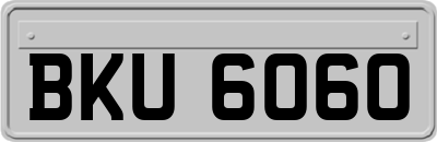 BKU6060