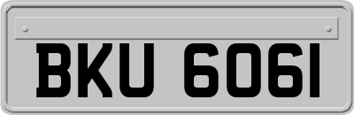 BKU6061