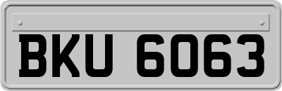 BKU6063