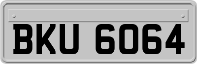 BKU6064