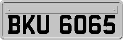 BKU6065