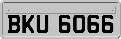 BKU6066