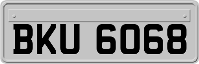 BKU6068