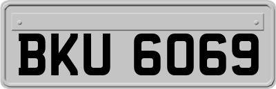 BKU6069