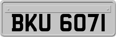 BKU6071