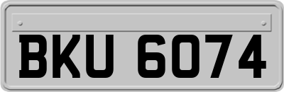 BKU6074