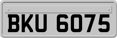 BKU6075