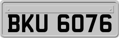 BKU6076