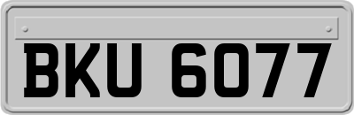BKU6077