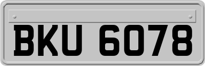 BKU6078