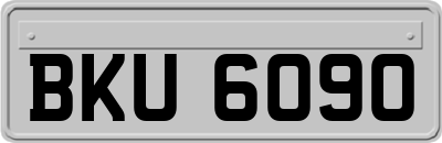 BKU6090
