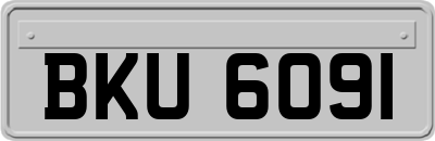 BKU6091