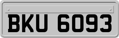 BKU6093
