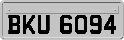 BKU6094