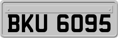 BKU6095