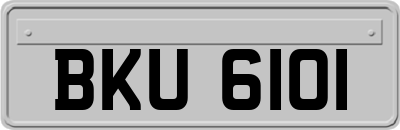 BKU6101