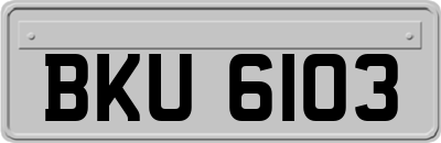 BKU6103
