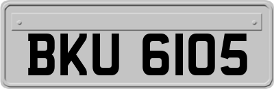 BKU6105