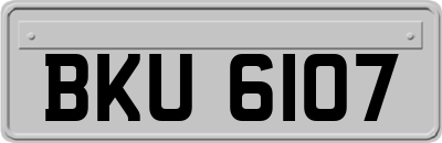 BKU6107