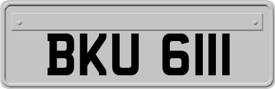 BKU6111