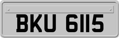 BKU6115