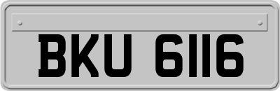 BKU6116