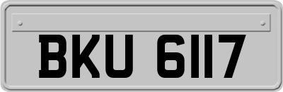 BKU6117