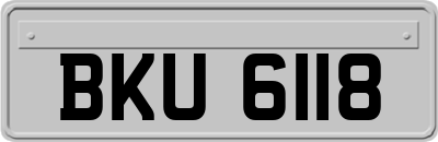 BKU6118