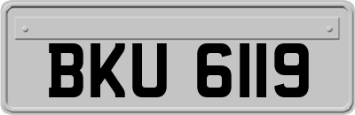 BKU6119