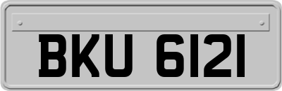 BKU6121