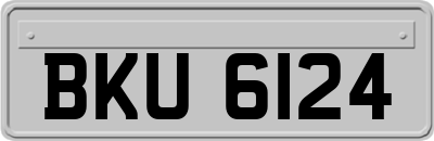 BKU6124