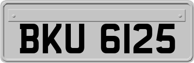 BKU6125