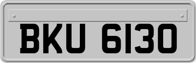 BKU6130